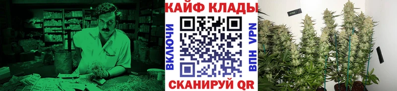 Где найти наркотики Шагонар А ПВП  АМФЕТАМИН  Мефедрон  ГАШИШ  COCAIN 