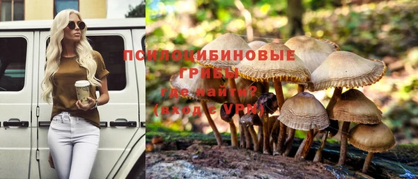 стафф Белоозёрский
