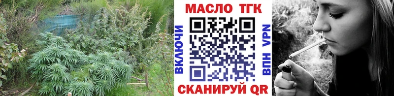 дарнет шоп  Шагонар  Дистиллят ТГК концентрат 