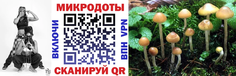 Галлюциногенные грибы Magic Shrooms Шагонар
